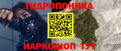 молекула духа Краснодар