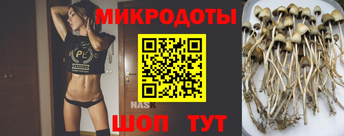 Галлюциногенные грибы Psilocybine cubensis  Галлюциногенные грибы MAGIC MUSHROOMS  Качканар  Вход с VPN 